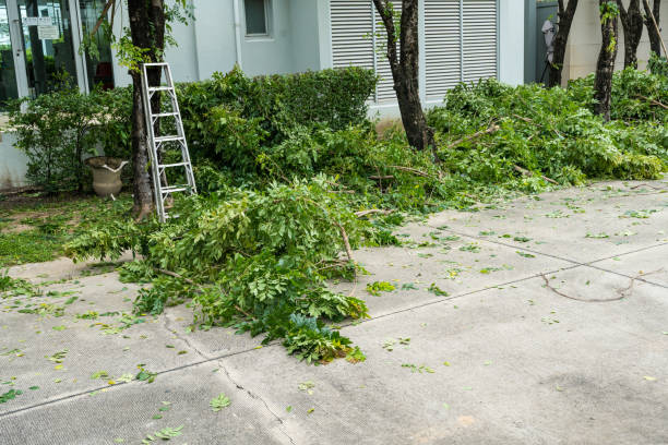 Best Tree Trimming and Pruning  in East Vineland, NJ